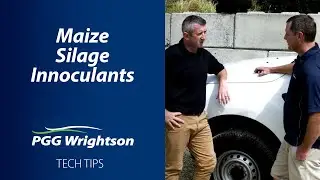 Maize Silage Inoculants | PGG Wrightson Tech Tips