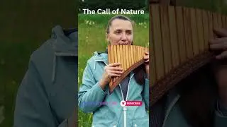 The Call of Nature | Peaceful Pan Flute | Relaxation | Meditation #music #flute #shorts