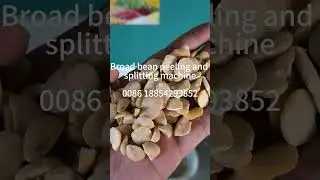 Faba/Broad bean peeling and splitting machine