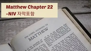 Matthew 22 NIV AUDIO BIBLE (with text)