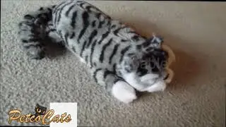 Hilarious and Adorable Electric Laughing and Rolling Cat Toy