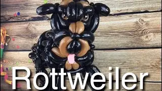 #Rottweiler #balloonanimal #happytwisting Watch me make a Rottweiler Dog Balloon🎈