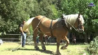 Fête BIO à Correns