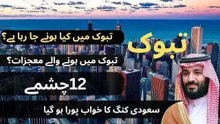 Tabuk City Saudi Arabia | Complete History & Future Documentary in Urdu | Vision 2030 | Brainbooster