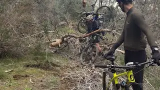 Salida con amigos (caídas risas sendas)