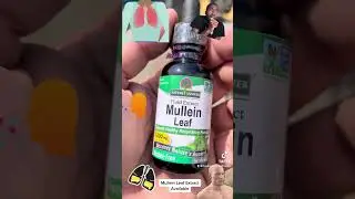 Mullein Leaf Extract