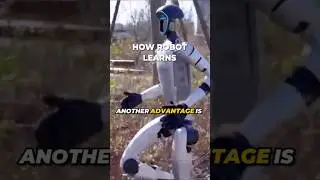 How Robots Learn and Move - Simulation