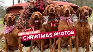 Monday Pack’s Christmas Santa Photos