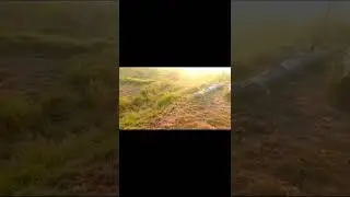 Desi Vlog | Blog Village | Daily Routine | Village Life Blog | Vlog | Village Vlog