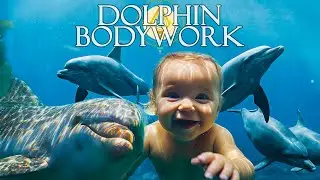 ✨️ PATHWAYS OF JOY: 7 SACRED POINTS & DOLPHIN BODYWORK&trade; ✨️
