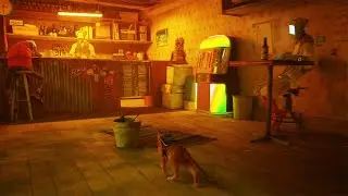 Exploring the Bar of Robots. Code for the safe on the street. Stray walkthrough