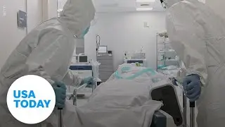 Sin Nombre hantavirus: What is the virus and how does one get infected? | USA TODAY
