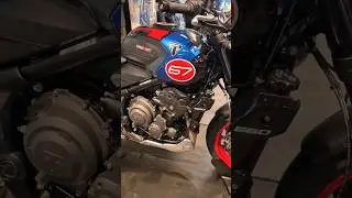 New 2025 Triumph Trident Triple Tribute 660 #motorcycle #motorbike #オートバイ #triumphtrident #shorts