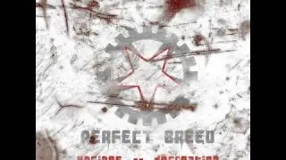 Perfect Breed - Inhuman rampage (DEMO 2007) (studio version)
