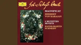 J.S. Bach: Der Geist hilft unsrer Schwachheit auf, BWV 226