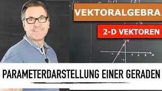 Parameterdarstellung einer Geraden | 2-D Vektoren | Geradengleichung aufstellen | Ortsvektor