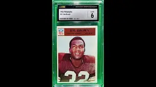 18 Card PSA and 2 Card CSG Reholder!