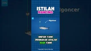 ISTILAH MANCING   NGONCER