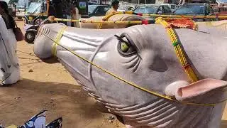 Thootha pooram 2025@Valluvanaadan 