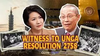 Inside UN 2758: A firsthand account