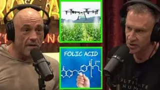 Gary Brecka Dives Deep On Folic Acid A Chemical In Our Food & What It's Doing To Your Body