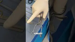 How to - The Surgeon&rsquo;s &ldquo;Assistant&rdquo;  #shortsexcellence