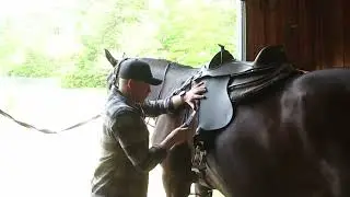 Barefoot Treeless saddles