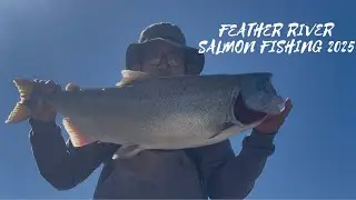SALMON FISHING CALIFORNIA FEATHER RIVER 2025 
