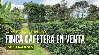 En venta FINCA CAFETERA Armenia Quindío 56 cuadras