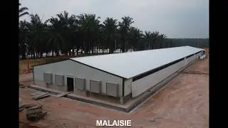 Different kind of C-Lines buildings