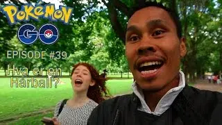 NORSK POKEMON GO -  Hva er en H&aring;rball