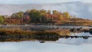 The Loch Ba Morning View