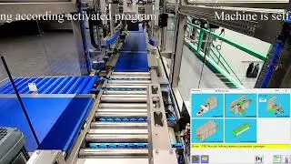 CPS Case Packing Systems - CP 201