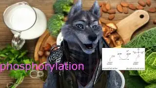 KeepingItCasual Calcium