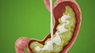 Milk Journey Inside the Body | 3D Transparent Anatomy Video
