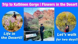 Trip to Kathleen Gorge | Life in the Desert 🏜 | Darlyn Jame