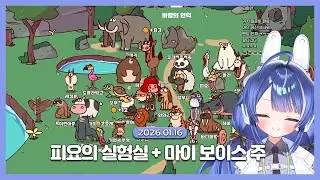 [2026.01.16 / 피요의 실험실 + 마이 보이스 주] 귤을 김에 싸 먹으면 무슨 맛이 날까??