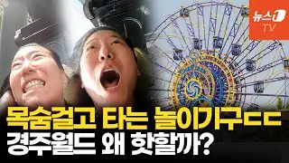 “롤러코스터 타러 독일에서 왔어요”…‘스릴의 성지’ 경주월드 뜨는 이유
