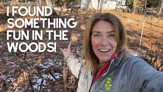 Winter garden jobs + mini stroll