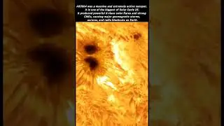 &ldquo;The Monster Sunspot AR3664&rdquo;#sunspots
