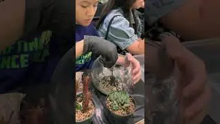 Workshop Terrarium di PTC Surabaya penuh kreativitas dan keceriaan. #TerrariumWorkshop #terrarium