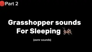 night ambience nature insect sounds for sleeping #asmr #nightsounds #insectsounds  #insectschirping