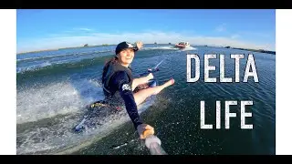 Delta Life