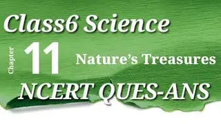Class6 Science Chapter 11 Nature's Treasure NCERT QUESTION-ANSWERS CURIOSITY