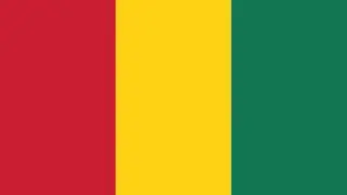 Flag of the Republic of Guinea (1958- * )