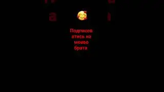 подписывает  на брата Best Friends его канал