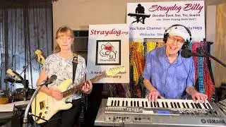 Spay & Neuter Blues – written by Straydog Billy – Song 1991 – PLEASE spay/neuter your dogs and cats!