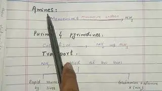 Ammonia metabolism| Ammonia metabolism biochemistry| ch 19 Lippincott| transport of ammonia|