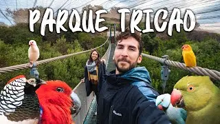 PARQUE TRICAO - 4K UHD - El Aviario más grande de Sudamérica