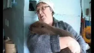 Репортаж из 